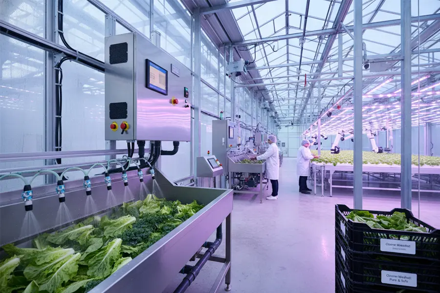 Aplicaciones de ozono PureOzone para agroindustria, alimentos y tratamiento de agua